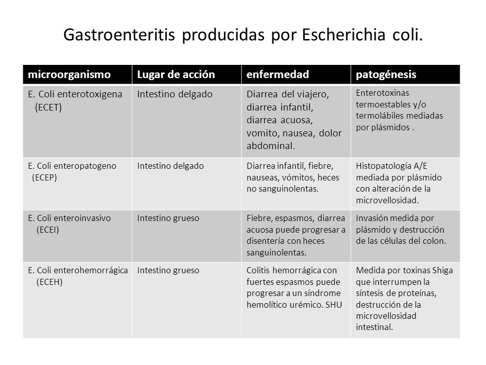 sintomas de gastroenteritis por e coli